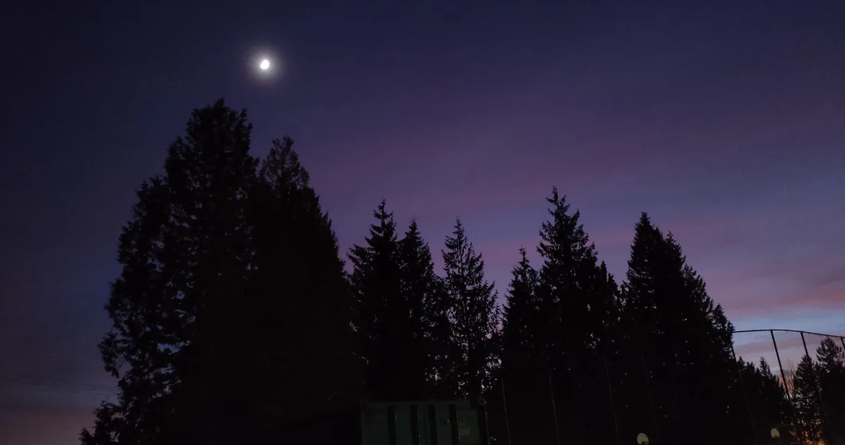 Lua cheia no céu roxo do entardecer sobre silhuetas de árvores, ilustrando o que é uma superlua