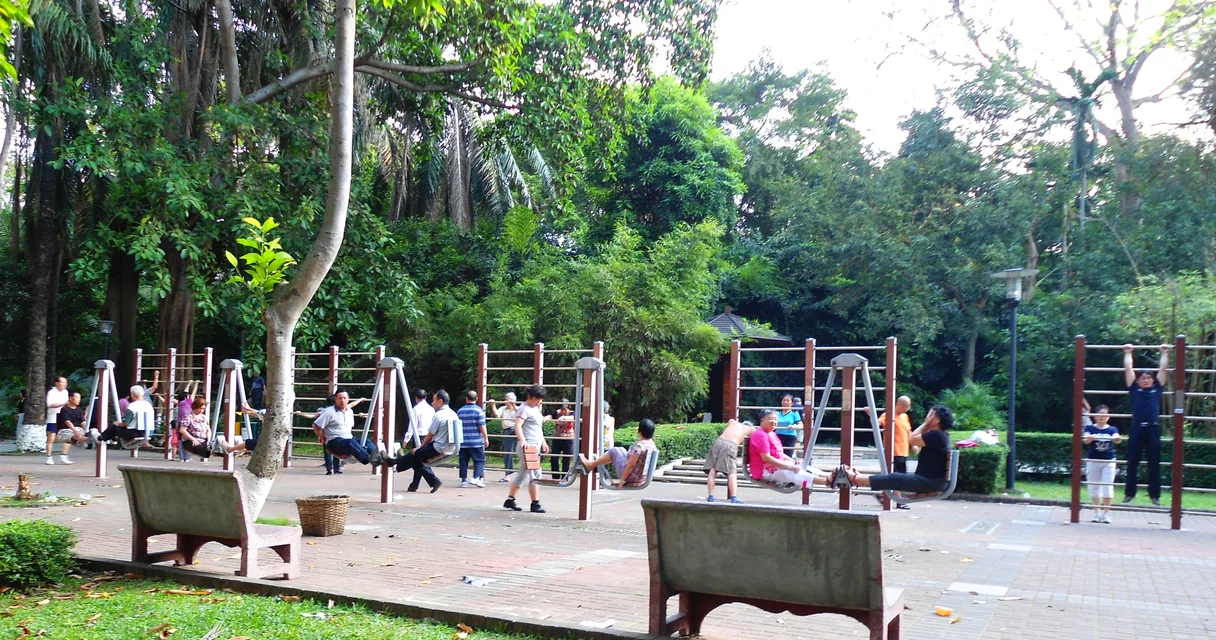 Pessoas se exercitando em aparelhos de ginástica de um parque