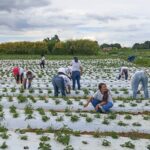 Mulheres do Campo: mais de 100 certificadas em Brazlândia