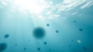 Gravame veicular: o que é e como consultar no seu veículo