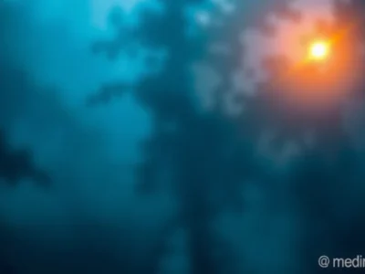 O que medir para saber se a sua estratégia está mesmo funcionando