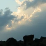 Por que postar muitos Reels ruins atrapalha o alcance do perfil