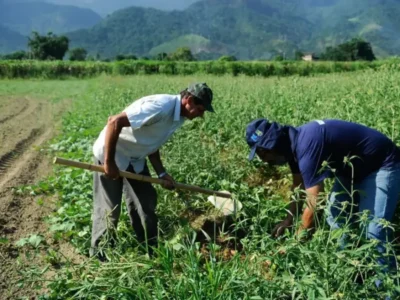 DF: saiba como regularizar ocupação de área rural