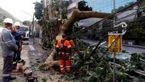 Rede elétrica resiliente exige investimento, dizem especialistas